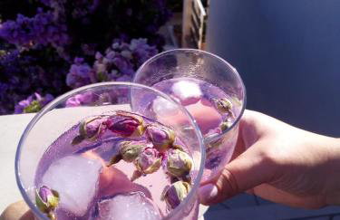 Apartman Milutin - Foto 24