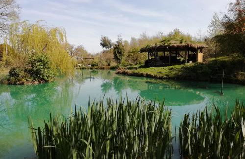 Sapphire forest garden shepherd’s hut - Foto 27