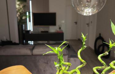 ARENA apartman - Foto 17