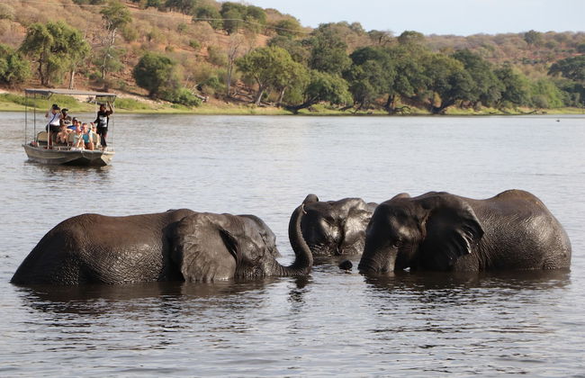 Destiny Blo Inn - Photo 13