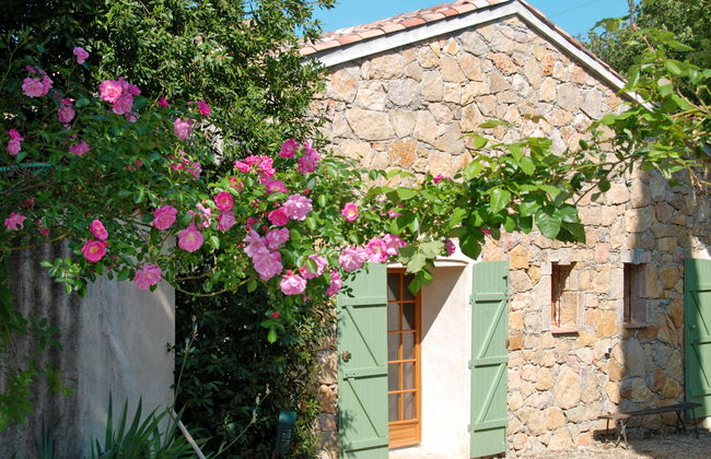 Mas des Lavandes - Foto 27