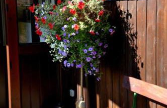 Ferienwohnung Nachtigall - Foto 12