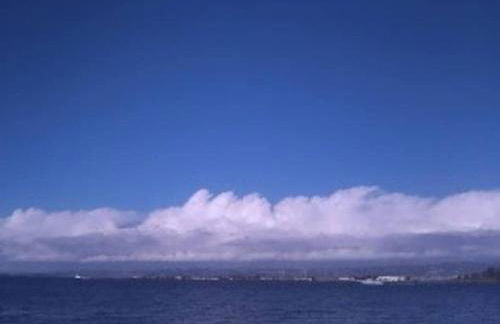 Sunny SF home - cozy, spacious, convenient w/parking, A+ location!! - Foto 49