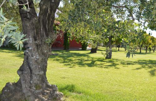 Villa Irene Pisticci-Matera - Photo 23