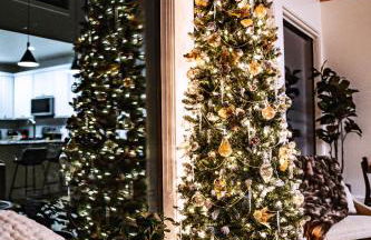 Gruene Daze Chalet - Stylish Aframe - Escape the Ordinary - Foto 35