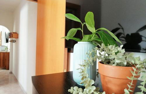 Holihome Il Giardino dei Limoni - Foto 12