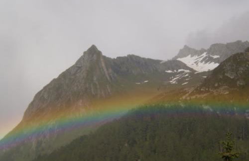 Almhaus Pfister OHG - Foto 79