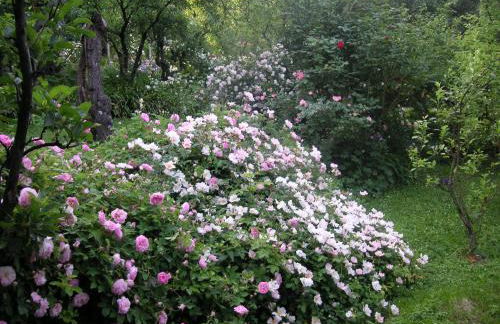 La Traversina - Agriturismo di Charme - Foto 97