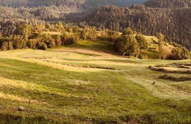 Appartamenti Pichler - Foto 39