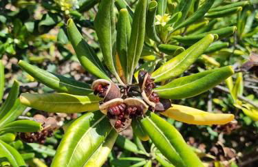 Cabo Cervera primera linea apartamento de lujo - Foto 70