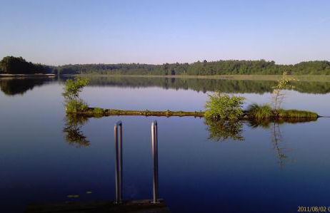 Nachtigall - Foto 29