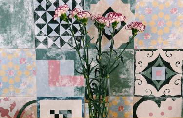 Amodiño do Camiño - Foto 51