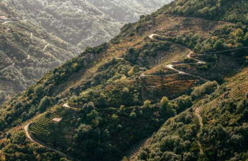 Casiñas do Sil - Foto 31