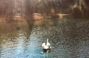 Haus bei der Linden Ferienwohnungen - Foto 24