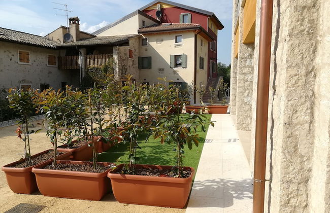 Agriturismo Le Anze - Foto 43