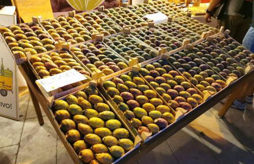 Aspra al delfino blu - Foto 19