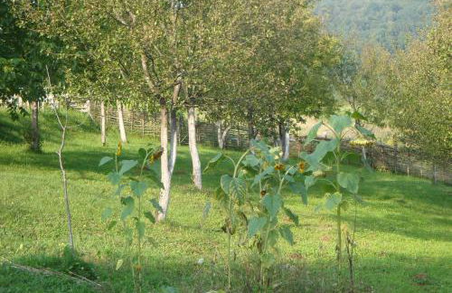 Apartment Marija - Foto 18