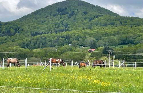 Le Domaine du Fayé - Foto 11