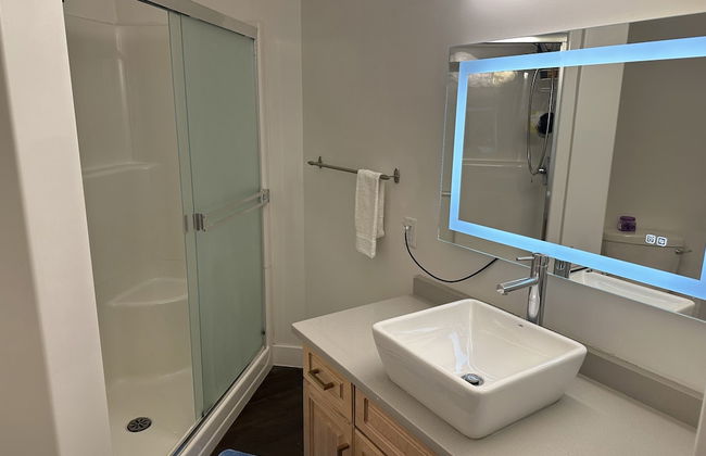 LUXURY DOWNTOWN CONDO TWO BEDROOM - Photo 22