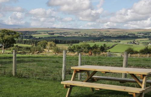 Bryn Dedwydd Cottage - Photo 17