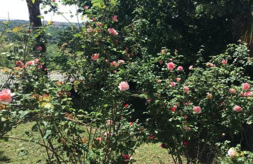 Le gîte de Gascogne - Photo 28