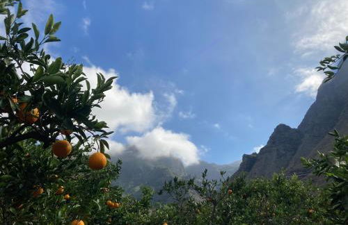 Casa Camino Tamadaba II (bottom home) - Foto 47