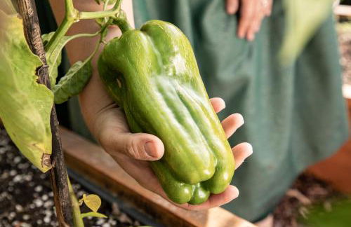 Pine Cone Loft on Baden-Baden's Panorama Trail - Foto 50