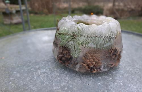 Paradiesgarten am Saaleufer - Foto 9