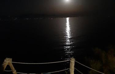 Dinas Inn - Photo 43