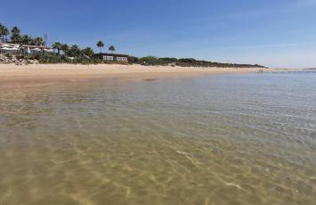 Casa Palmera - Foto 13