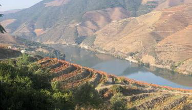 Castas do Douro - Foto 2
