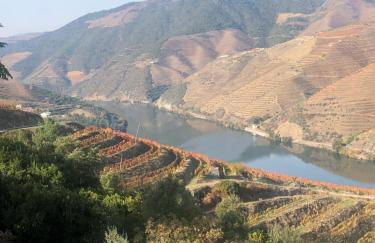Castas do Douro - Foto 2