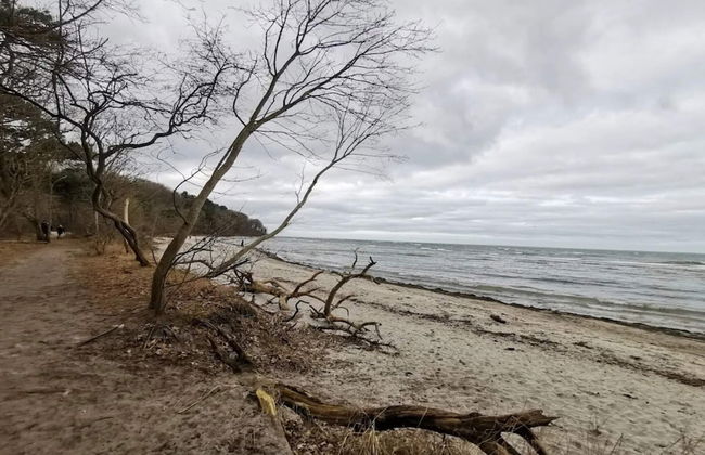 5 Star Holiday Home in Asnaes - Foto 49