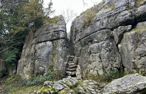 Kents Bank Holiday - Pet Friendly with Bay Views - Foto 76