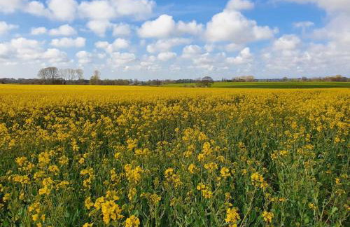 Bonneys Barn Retreat - Luxury homely getaway - Photo 32