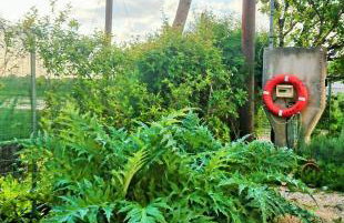 Evilion house inTholo. Sea, nature, relaxation! - Foto 61