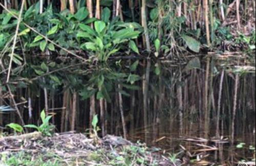 Vivenda dos Guaranys -Um projeto ecológico - Casa - Foto 70