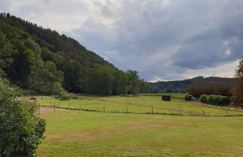 Ferienwohnung Siegaue - Foto 18