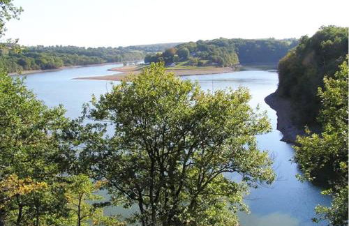 La vie calme - Foto 33