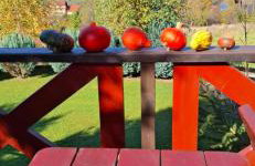 Chata drewniana Stefanówka - Foto 72