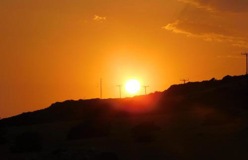 Paradise Studios - Foto 41