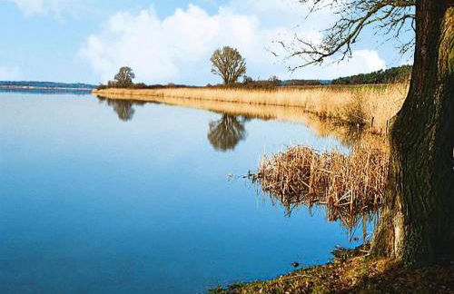 Ferienwohnung, Beetzseeheide - Foto 32
