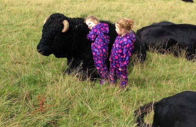 The Mill House at Cwmiar Farm - Relaxing Holidays - Photo 26