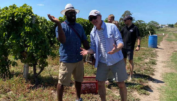 Visita a la bodega Familia Dardanelli - Foto 2