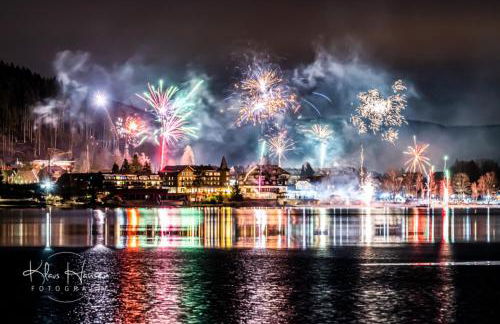 Gästehaus Seewald- Ferienwohnung 3 "Tanne", Schluchsee, Blasiwald - Foto 25