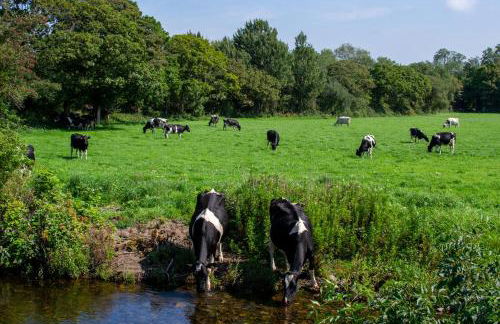 Samuel cottage - Photo 16