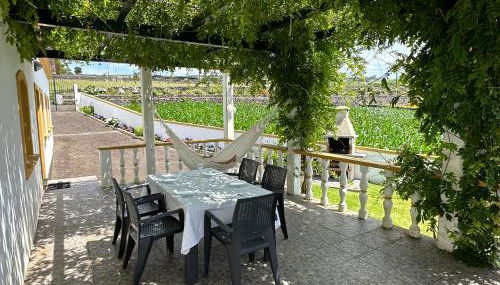 Casa do Alemao - Photo 4, Garden, Garden view