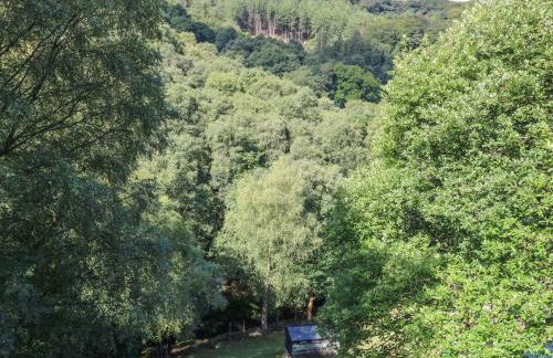 Cragg Hall View - Foto 22