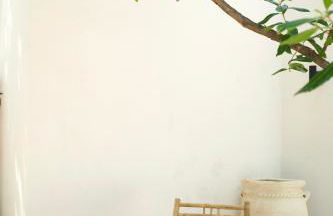 l'Amarantine - Foto 21