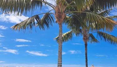 Villa Gecko - Foto 2, Garden, Garden view